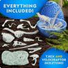 image:imageNational Geographic GlowinTheDark Dinosaur Skeleton Model Building Kit  Build Replica Velociraptor amp T rex Bones Educational Dinosaur Egg Activity Kit Fossils for Kids 57Dinosaur Skeleton Models Kit