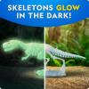 image:imageNational Geographic GlowinTheDark Dinosaur Skeleton Model Building Kit  Build Replica Velociraptor amp T rex Bones Educational Dinosaur Egg Activity Kit Fossils for Kids 57Dinosaur Skeleton Models Kit