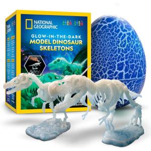 image:imageNational Geographic GlowinTheDark Dinosaur Skeleton Model Building Kit  Build Replica Velociraptor amp T rex Bones Educational Dinosaur Egg Activity Kit Fossils for Kids 57Dinosaur Skeleton Models Kit