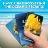 image:imageNational Geographic Anyones Guess Rainforest Animals Trivia Cards  Kids Trivia Card Game with 55 Jumbo Cards Animal Games Trivia GameOcean Animal Trivia
