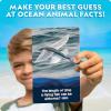 image:imageNational Geographic Anyones Guess Rainforest Animals Trivia Cards  Kids Trivia Card Game with 55 Jumbo Cards Animal Games Trivia GameOcean Animal Trivia