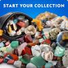 image:imageNational Geographic Geology Bundle  Including Rock Collection Box for Kids Crystal Growing Kit and Gemstone Dig Kit Real Gemstones and Crystals Science Kit for Boys and Girls Amazon ExclusiveGemstone Collection Kit