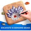 image:imageNational Geographic Geology Bundle  Including Rock Collection Box for Kids Crystal Growing Kit and Gemstone Dig Kit Real Gemstones and Crystals Science Kit for Boys and Girls Amazon ExclusiveGeology Bundle