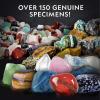 image:imageNational Geographic Rock Collection Box for Kids  300 Piece Rock Set with Real Gemstones Crystals amp Minerals  Includes Absolute Expert Rocks amp Minerals FullColor Book Amazon ExclusiveActivity Rock Collection
