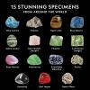 image:imageNational Geographic Rocks amp Mineral Collection  Rock Collection Box for Kids with 15 Gemstones and Crystals Geology for Kids Crystal Collection Science Kit Rock Gift Amazon Exclusive