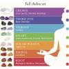 image:imageElementao Chakra Crystals and Healing Stones  25 Polished and Raw Gemstones and Storage Bag Fluorite Wand and 2 Selenite Wands Quartz Point and Engraved Wooden Box Natural Crystal Set for