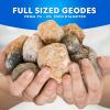 image:imageNational Geographic Break Open 5 Jumbo Geodes  Earth Science Kit with 5 Premium ExtraLarge Geodes with Crystals Goggles amp Display Stands Science Gifts Fun Stuff for Kids Amazon Exclusive4 Geodes Kit