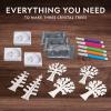 image:imageNational Geographic Craft Kits for Kids  Crystal Growing Kit  Grow a Crystal Garden in Just 6 Hours Educational Craft Includes Art Project Geode STEM Arts and Crafts for Girls Amazon Exclusive