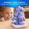 image:imageNational Geographic Craft Kits for Kids  Crystal Growing Kit Grow 6 Crystal Trees in Just 6 Hours Educational Craft Kit with Art Supplies Geode Specimen STEM Arts amp Crafts Kit Amazon Exclusive