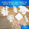image:imageNational Geographic Craft Kits for Kids  Crystal Growing Kit Grow 6 Crystal Trees in Just 6 Hours Educational Craft Kit with Art Supplies Geode Specimen STEM Arts amp Crafts Kit Amazon Exclusive