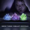 image:imageNational Geographic Crystal Growing Kit  3 Vibrant Colored Crystals to Grow with LightUp Display Stand Science Toy for Girls and Boys Ages 812 Includes 3 Gems Cool STEM Gift Amazon Exclusive3 Vibrant Colored Crystals