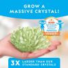 image:imageNational Geographic Crystal Growing Kit  3 Vibrant Colored Crystals to Grow with LightUp Display Stand Science Toy for Girls and Boys Ages 812 Includes 3 Gems Cool STEM Gift Amazon Exclusive1 Giant Glowing Crystal