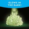 image:imageNational Geographic Jumbo Crystal Growing Kit  Grow Your Own Giant Glow in The Dark Crystal in a Few Days Science Kit Grow Crystals for Kids STEM Toys Amazon Exclusive