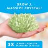 image:imageNational Geographic Jumbo Crystal Growing Kit  Grow Your Own Giant Glow in The Dark Crystal in a Few Days Science Kit Grow Crystals for Kids STEM Toys Amazon Exclusive
