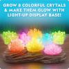 image:imageNational Geographic Mega Crystal Growing Kit for Kids Grow 6 Crystals with LightUp Stand Science Gifts for Kids 812 Crystal Making Experiment Science Kit for Girls and Boys Amazon Exclusive8 Crystal Lab