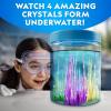 image:imageNational Geographic Ultimate Crystal Growing Kit  Grow 5 Types of Crystals Including Glow in the Dark Dinosaur Figure Underwater Crystals amp Crystal Trees with Learning Guide STEM Science Kit