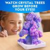 image:imageNational Geographic Ultimate Crystal Growing Kit  Grow 5 Types of Crystals Including Glow in the Dark Dinosaur Figure Underwater Crystals amp Crystal Trees with Learning Guide STEM Science Kit