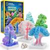 image:imageNational Geographic Craft Kits for Kids  Crystal Growing Kit Grow 6 Crystal Trees in Just 6 Hours Educational Craft Kit with Art Supplies Geode Specimen STEM Arts amp Crafts Kit Amazon Exclusive