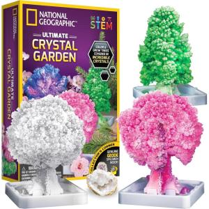image:imageNational Geographic Craft Kits for Kids  Crystal Growing Kit  Grow a Crystal Garden in Just 6 Hours Educational Craft Includes Art Project Geode STEM Arts and Crafts for Girls Amazon Exclusive