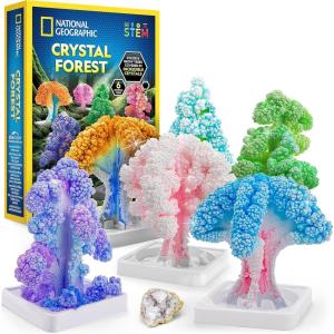 image:imageNational Geographic Craft Kits for Kids  Crystal Growing Kit Grow 6 Crystal Trees in Just 6 Hours Educational Craft Kit with Art Supplies Geode Specimen STEM Arts amp Crafts Kit Amazon Exclusive