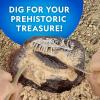 image:imageNATIONAL GEOGRAPHIC Dino Fossil Dig Kit amp Dinosaur Book for Kids Excavate a Replica Dinosaur Tooth Fossil and Study Paleontology with a FullColor Dinosaur Activity Book for Kids Amazon ExclusiveDino Dig Kit