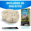 image:imageNational Geographic Dinosaur Dig Kit  12 Dino Shaped Dig Bricks with Dinosaur Figures Inside amp Excavation Tool Sets Egg Hunt or Dig Party Activity Great STEM Toy for Boys amp Girls30 Individual Dig Bricks