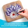 image:imageNational Geographic Gigantic Gemstone Dig Kit  Excavate 100 Real Gems from a Giant Dig Brick Gem Mining Kit for Kids STEM Rock Collection Activity Includes Tools amp Learning Guide15 Stunning Gems