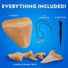 image:imageNational Geographic Shark Tooth Dig Kit  Excavate Replica Teeth Fossils from Ancient Sharks and Make a SharkTooth Necklace STEM Science Kit for Kids Ages 68 Educational Fossil Dig Activity