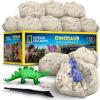 image:imageNational Geographic Dinosaur Dig Kit  12 Dino Shaped Dig Bricks with Dinosaur Figures Inside amp Excavation Tool Sets Egg Hunt or Dig Party Activity Great STEM Toy for Boys amp Girls30 Individual Dig Bricks