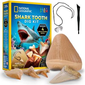 image:imageNational Geographic Shark Tooth Dig Kit  Excavate Replica Teeth Fossils from Ancient Sharks and Make a SharkTooth Necklace STEM Science Kit for Kids Ages 68 Educational Fossil Dig Activity