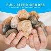 image:imageNational Geographic Gigantic Geode Kit  Break Open a Huge Geode with Crystals Inside Earth Science Kit for Kids Fun Geology Activity Rock and Mineral Gift for Boys and Girls10 Geodes Kit