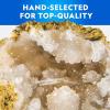 image:imageNational Geographic Break Open 15 Premium Geodes Science Kit  Includes Goggles amp 3 Display Stands  Great STEM Science Kit Geology Gift for Kids Break Your Own Geodes with Crystals