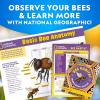 image:imageNational Geographic Build a Bee Habitat Craft Kit for Kids  Paint amp Build a House for Mason Bees Outdoor Arts amp Crafts Nature Learning Activity DIY Pollinator Garden Craft Solitary Bee HotelDIY Bee Habitat