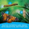 image:imageNational Geographic Butterfly Growing Kit  Butterfly Habitat Kit with Voucher to Redeem 5 Caterpillars SampH Not Included Butterfly Cage Feeder Amazon ExclusiveStarter Butterfly Kit