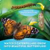 image:imageNational Geographic Butterfly Growing Kit  Butterfly Habitat Kit with Voucher to Redeem 5 Caterpillars SampH Not Included Butterfly Cage Feeder Amazon ExclusiveUltimate Butterfly Kit