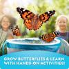 image:imageNational Geographic Butterfly Growing Kit  Butterfly Habitat Kit with Voucher to Redeem 5 Caterpillars SampH Not Included Butterfly Cage Feeder Amazon ExclusiveUltimate Butterfly Kit