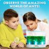 image:imageNational Geographic Butterfly Growing Kit  Butterfly Habitat Kit with Voucher to Redeem 5 Caterpillars SampH Not Included Butterfly Cage Feeder Amazon ExclusiveAnt Habitat