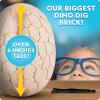 image:imageNATIONAL GEOGRAPHIC Jumbo Dinosaur Egg Dig Kit  Dig Out 12 Dino Figures amp Replica T Rex Tooth from Giant 6 Egg Dino Egg Jumbo Egg Dinosaur Egg Toys Educational Science KitsJumbo Dino Egg Dig Brick