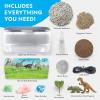 image:imageNational Geographic Light Up Terrarium Kit for Kids  Build a Dinosaur Habitat with Real Plants amp Gemstones Science Kit Dinosaur Toys for Kids Amazon ExclusiveDino Habitat
