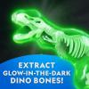 image:imageNational Geographic Shark Dissection Kit  Glow in the Dark Great White Shark Anatomy Lab with 12 Bones amp Organs Refill Pack KidFriendly Tools amp Learning GuideT rex Dissection Kit