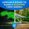 image:imageNational Geographic Shark Dissection Kit  Glow in the Dark Great White Shark Anatomy Lab with 12 Bones amp Organs Refill Pack KidFriendly Tools amp Learning GuideT rex Dissection Kit