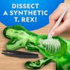 image:imageNational Geographic Shark Dissection Kit  Glow in the Dark Great White Shark Anatomy Lab with 12 Bones amp Organs Refill Pack KidFriendly Tools amp Learning GuideT rex Dissection Kit