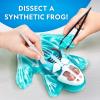 image:imageNational Geographic Shark Dissection Kit  Glow in the Dark Great White Shark Anatomy Lab with 12 Bones amp Organs Refill Pack KidFriendly Tools amp Learning GuideFrog Dissection Kit