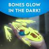 image:imageNational Geographic Shark Dissection Kit  Glow in the Dark Great White Shark Anatomy Lab with 12 Bones amp Organs Refill Pack KidFriendly Tools amp Learning GuideFrog Dissection Kit