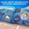 image:imageNational Geographic Shark Dissection Kit  Glow in the Dark Great White Shark Anatomy Lab with 12 Bones amp Organs Refill Pack KidFriendly Tools amp Learning GuideShark Dissection Kit