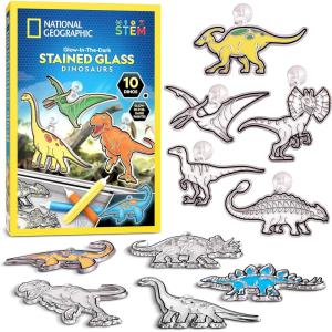 image:imageNational Geographic Kids Stained Glass Kit  Glow in The Dark Dinosaur Toys Kids Arts and Crafts Set Window Sun Catchers Kid Crafts Ages 48 Window Art Craft Kit SuncatcherGlowing Dinos