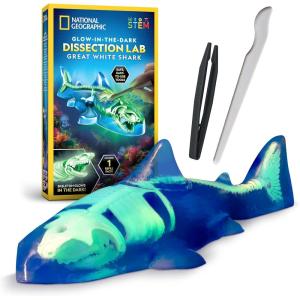 image:imageNational Geographic Shark Dissection Kit  Glow in the Dark Great White Shark Anatomy Lab with 12 Bones amp Organs Refill Pack KidFriendly Tools amp Learning GuideShark Dissection Kit
