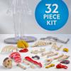 image:imageNational Geographic Human Body Model for Kids That Glows in The Dark  32Piece Interactive Anatomy Model with Bones Organs Muscles Science Kit Stocking Stuffer Anatomy amp Physiology Study Tools32Piece Anatomy Model