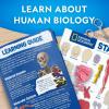 image:imageNational Geographic Human Body Model for Kids That Glows in The Dark  32Piece Interactive Anatomy Model with Bones Organs Muscles Science Kit Stocking Stuffer Anatomy amp Physiology Study Tools32Piece Anatomy Model