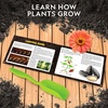 image:imageNational Geographic Herb Growing Kit  Decorate 3 Pots with Paint and Stickers Kids Gardening Set Arts and Crafts for Kids Ages 812 Garden Kit Outdoor Toys